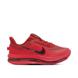 Nike Pegasus Premium Nike Pegasus Premium