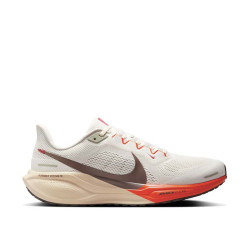 Nike Air Zoom Pegasus 41 Nike Air Zoom Pegasus 41