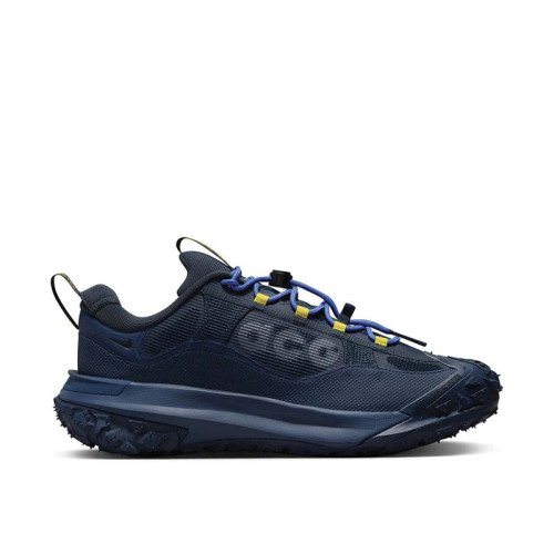 Nike ACG Mountain Fly 2 Low GTX