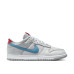 Nike Dunk Low QS 