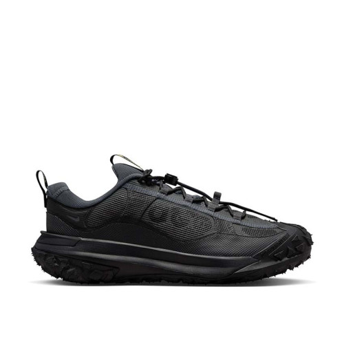 Nike ACG Mountain Fly 2 Low Gore-Tex