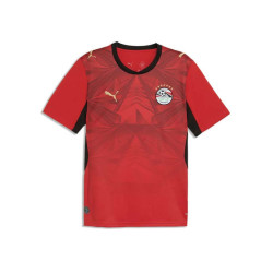 Puma EFA Home Jersey Replica Puma EFA Home Jersey Replica