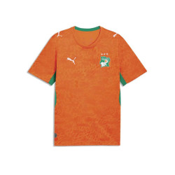 Puma FIF Home Jersey Replica Puma FIF Home Jersey Replica