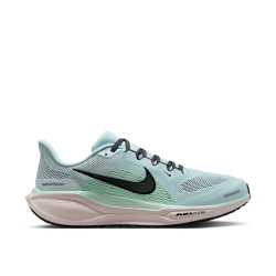 Nike Air Zoom Pegasus 41 Nike Air Zoom Pegasus 41