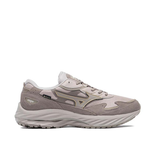 Mizuno Wave Rider Beta GTX
