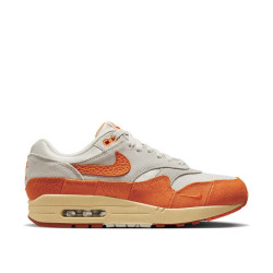 Nike Air Max 1 Wmns Nike Air Max 1 Wmns