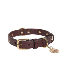 Adidas Pet Collar Adidas Pet Collar