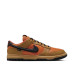 Nike Dunk Low GTX 