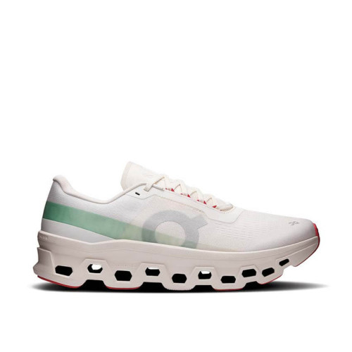 On Cloudmonster 1 