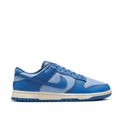 Nike Dunk Low Retro 
