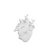 Seletti Love in Bloom Glass