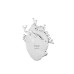 Seletti Love in Bloom Glass