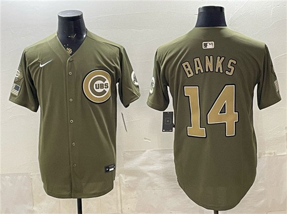 Men's Chicago Cubs #14 Ernie Banks Royal Olive 2026 Armed Forces Day Salute To Service Stitched Baseball Jersey